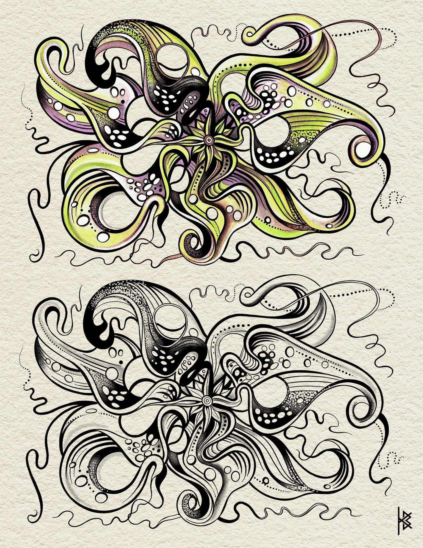 OCTOPUS ORCHID