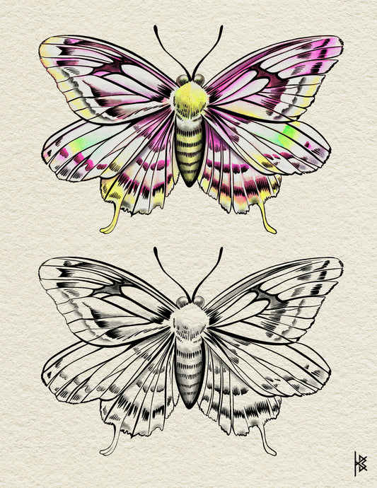 BUTTERFLY