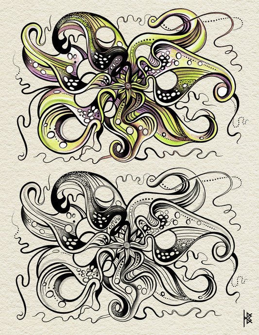 OCTOPUS ORCHID