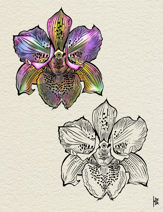 CRAZY ORCHID