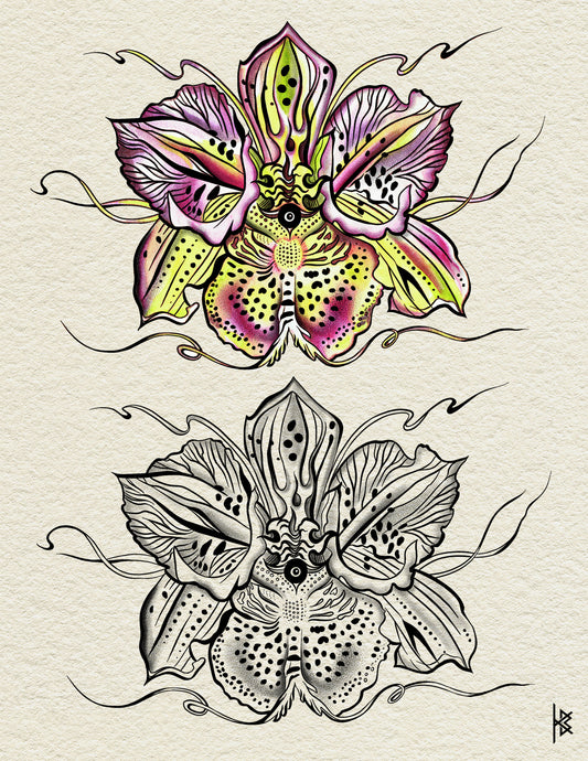 TIGER ORCHID